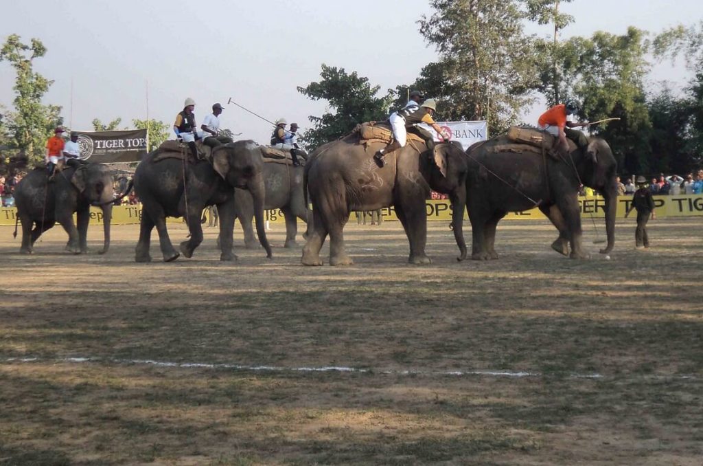 Eliphant Polo or Hattipolo Games, Nepal