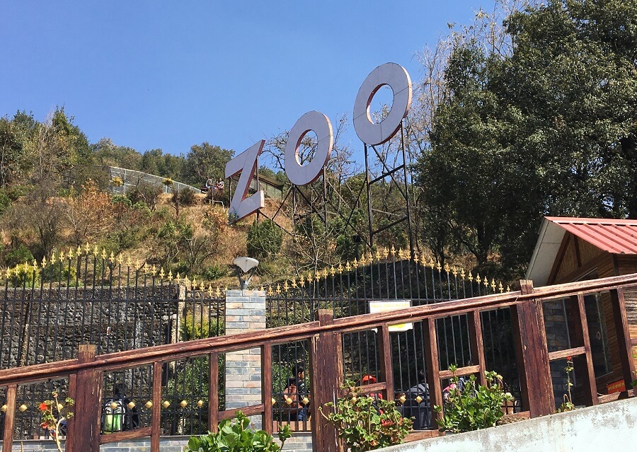 High Altitude Zoo Nainital- One of the 10 Best Places to Visit in Nainital