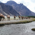 Nubra Valley Ladakh