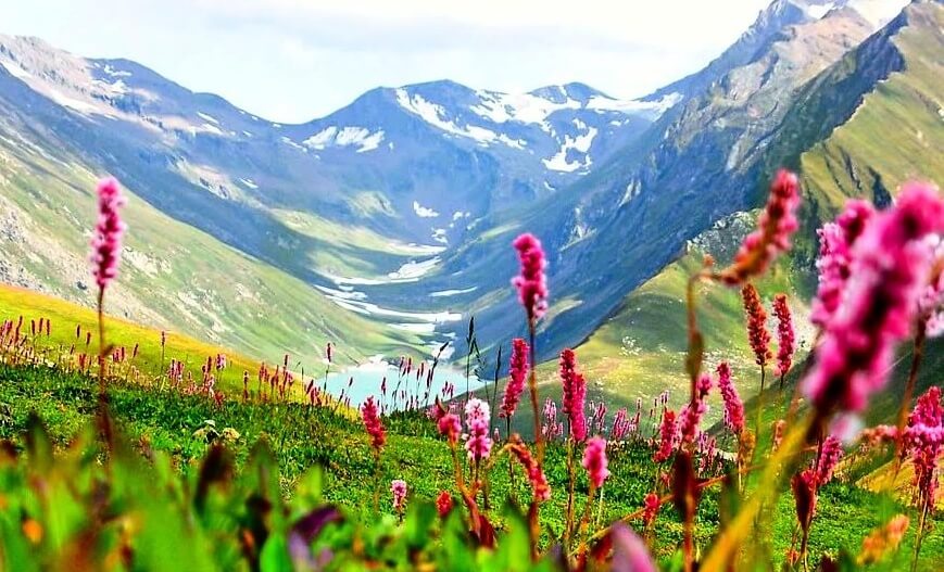 Valley Of Flowers Trek