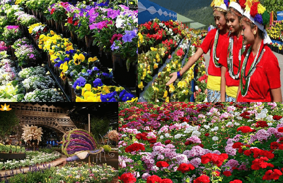 International Flower Festival Sikkim