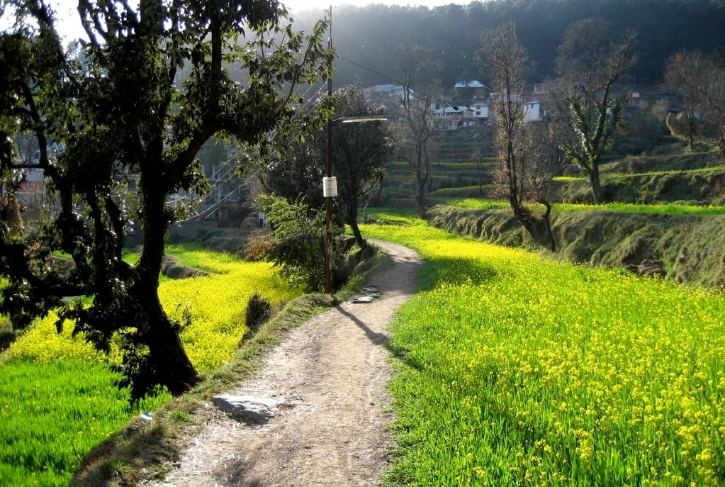 Dharamkot in Dharamsala