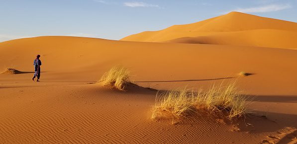 The Great Sahara Desert