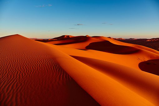 The Great Sahara Desert