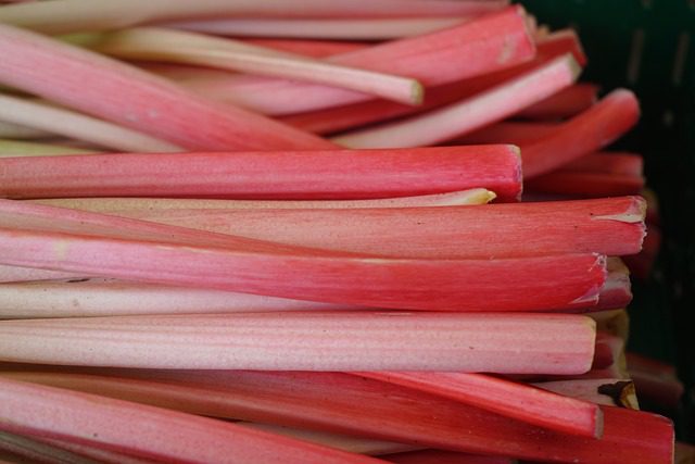 10 Most Poisonous Fruits In The World