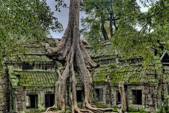 The Enigmatic Lost Cities-amazon jungle 