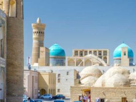 dubai tourist visa for uzbekistan citizens