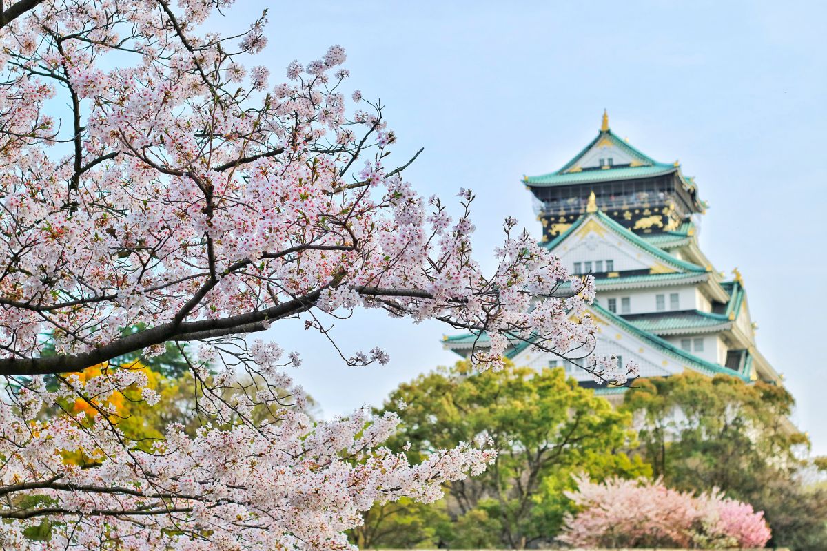 Things to do in Japan