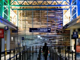 This Little-known Feature Could Help You Skip Long Airport Security Lines - Photo by Matthew Turner on Pexels