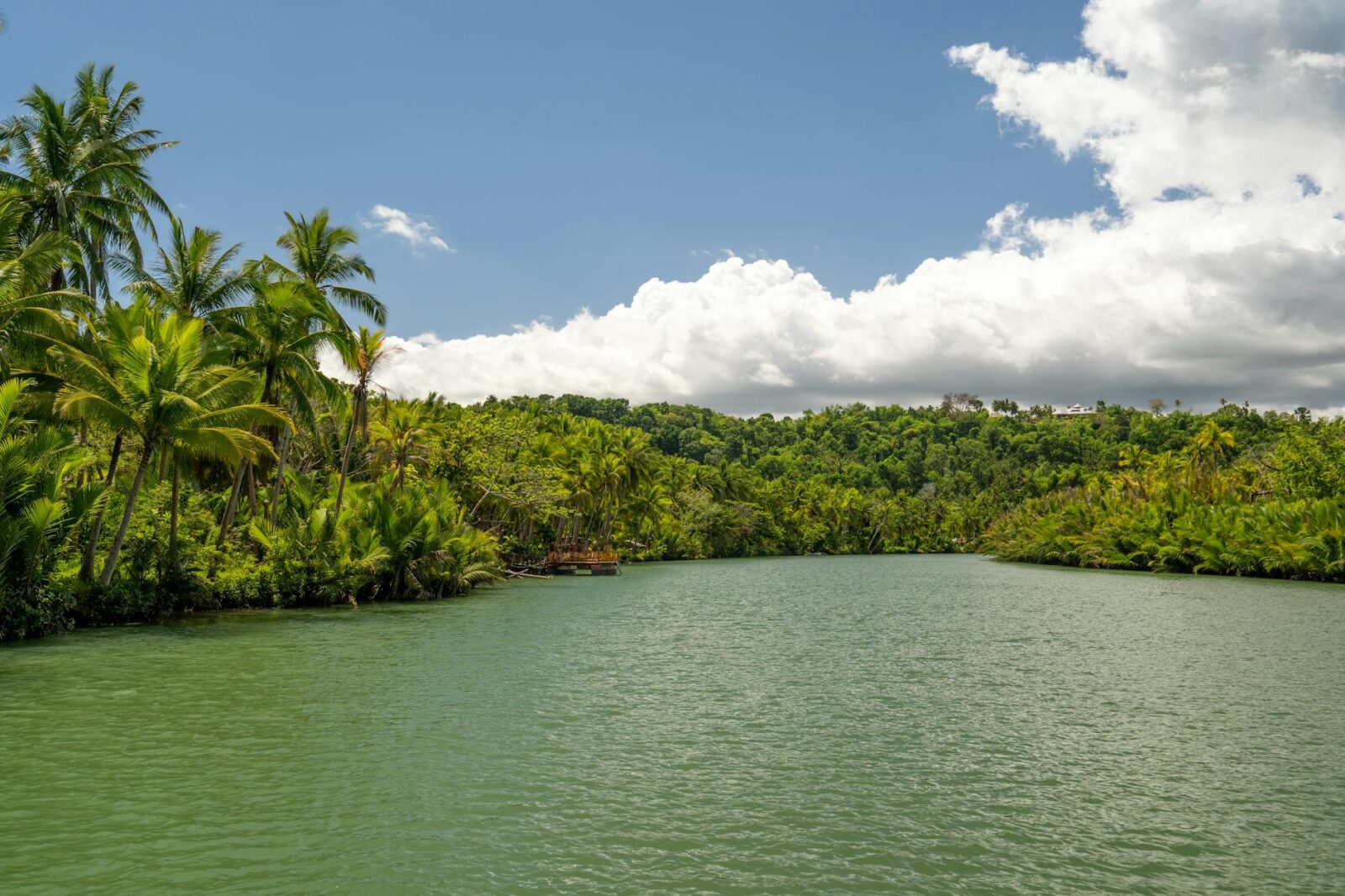 visa free countries for india - Photo by Cyrill on Pexels