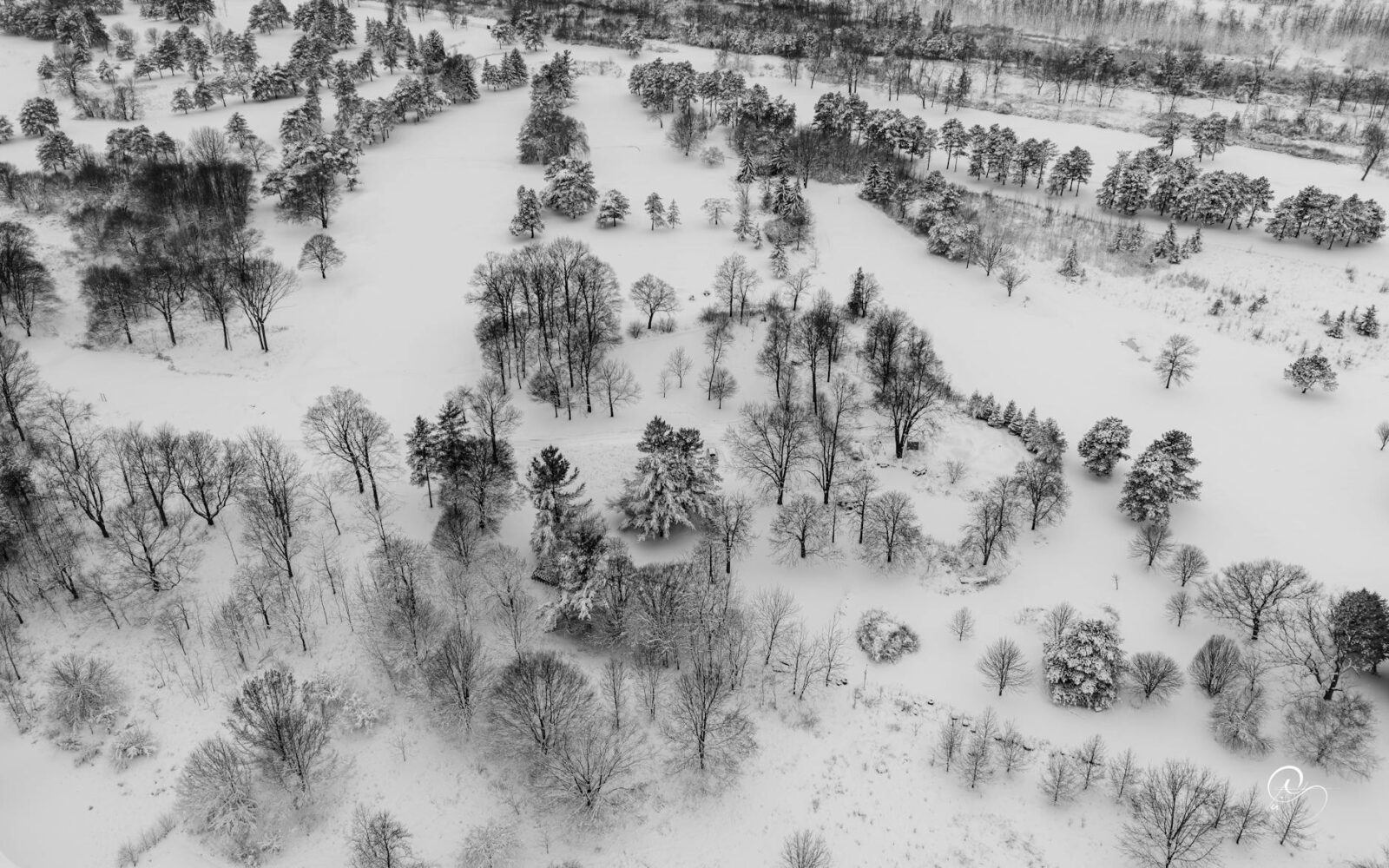 Canada’s Minister of Immigration, Refugees and Citizenship to deliver remarks and funding announcement in Greater Sudbury - Photo by Ali Soheil on Pexels