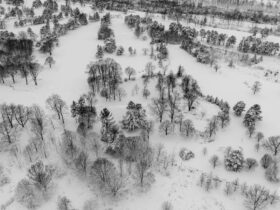 Canada’s Minister of Immigration, Refugees and Citizenship to deliver remarks and funding announcement in Greater Sudbury - Photo by Ali Soheil on Pexels