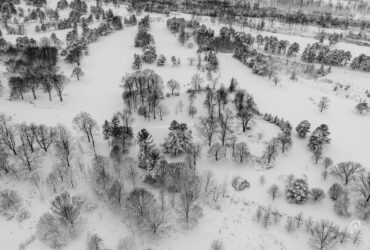 Canada’s Minister of Immigration, Refugees and Citizenship to deliver remarks and funding announcement in Greater Sudbury - Photo by Ali Soheil on Pexels