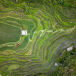 digital nomad visa bali - Photo by Tom Fisk on Pexels