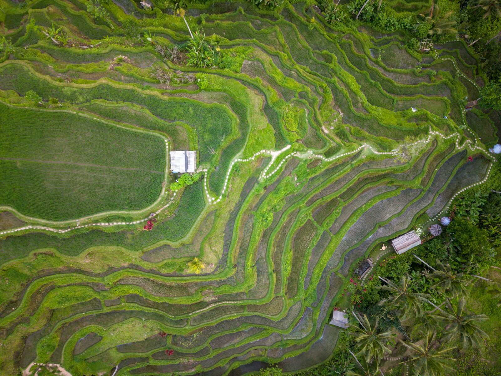 digital nomad visa bali - Photo by Tom Fisk on Pexels