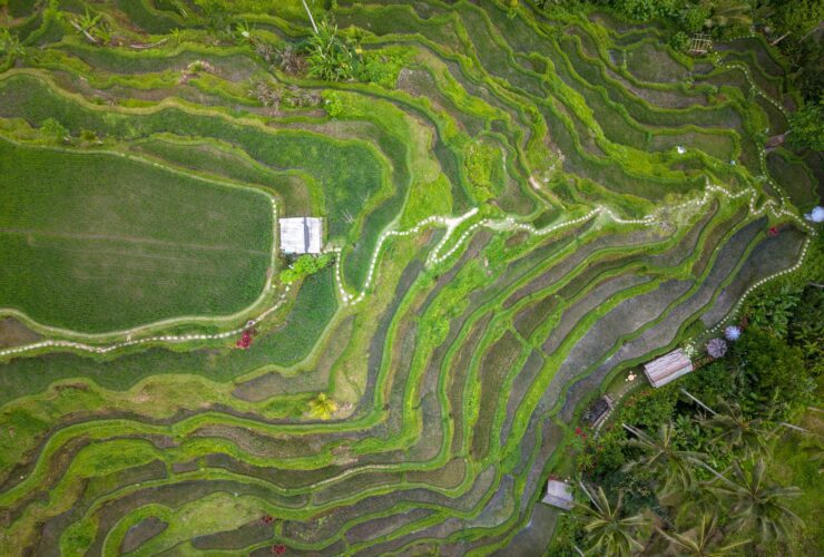 digital nomad visa bali - Photo by Tom Fisk on Pexels