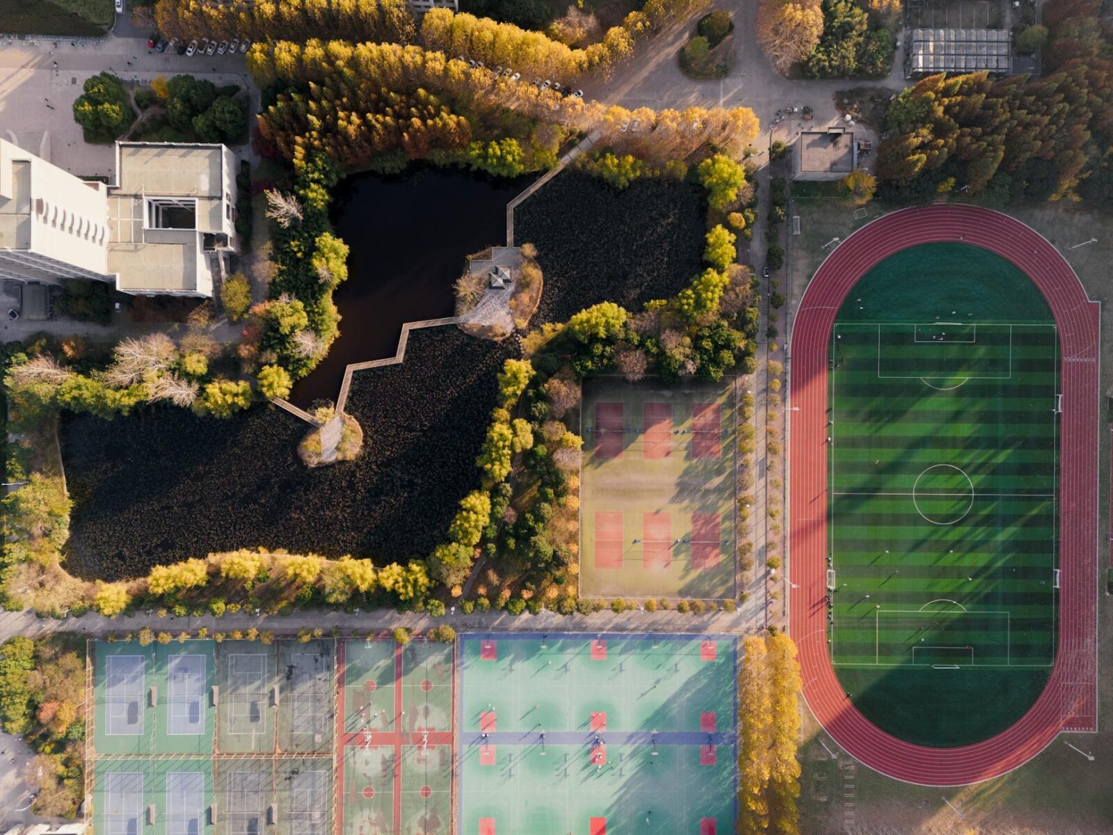 Statement from Minister Metlege Diab on the Auditor General of Canada’s report on international student reforms - Photo by Usman AbdulrasheedGambo on Pexels