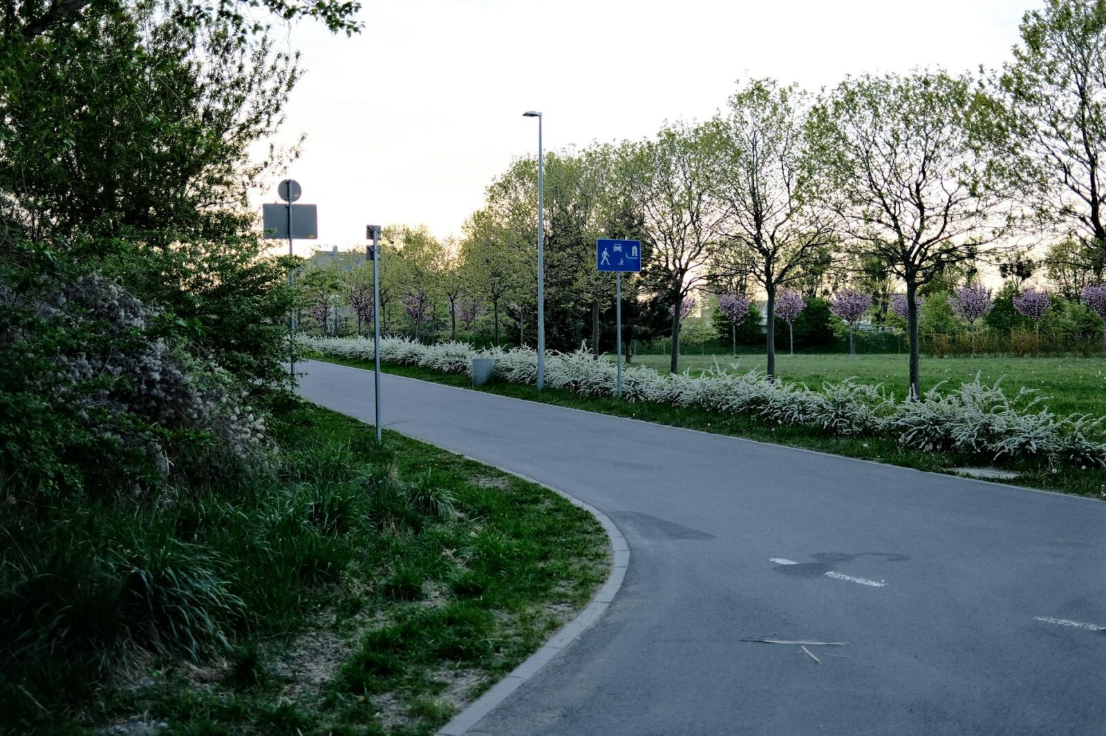 My Dad Can't Travel Like He Used to, but Slowing Down Doesn't Mean Stopping - Photo by Egor Komarov on Pexels