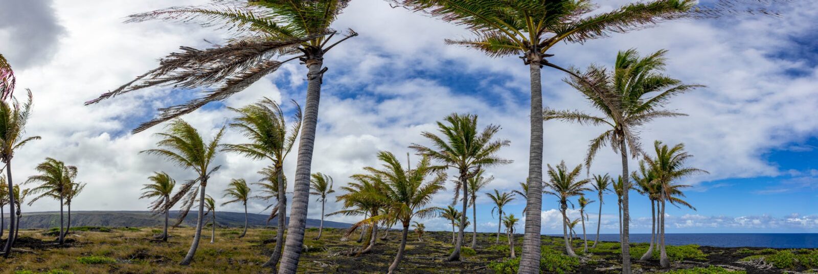 The 2026 Atlantic Hurricane Season Could Bring Up to 16 Storms, According to AccuWeather—Here’s What Travelers Should Know - Photo by Isi Parente on Pexels