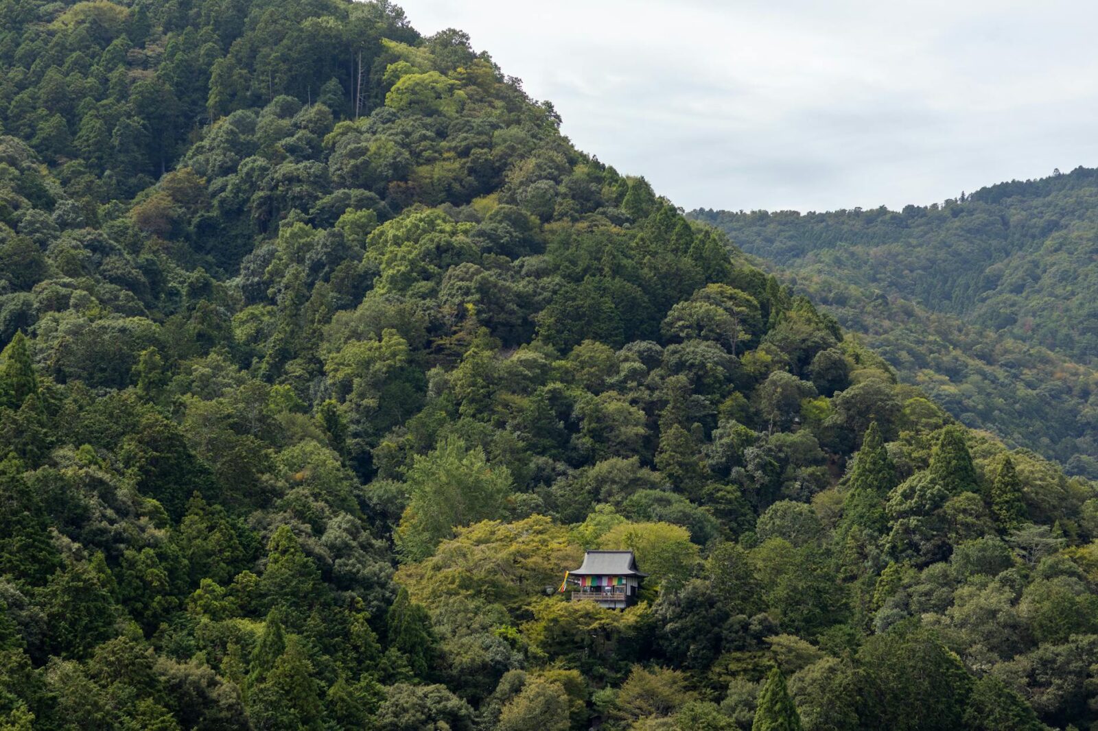 Hidden Gem Destinations Cheaper Than You Think — Updated Guide - Photo by Mauricio Ortiz on Pexels