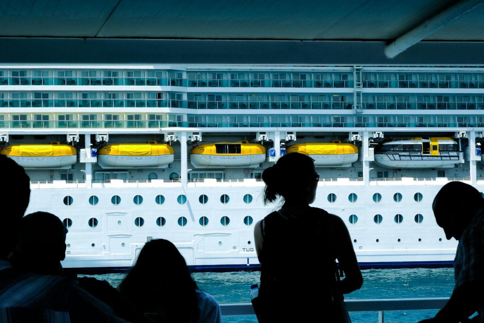 Royal Caribbean Group Officially Launches Royal Caribbean Group Foundation - Photo by Crab Lens on Pexels