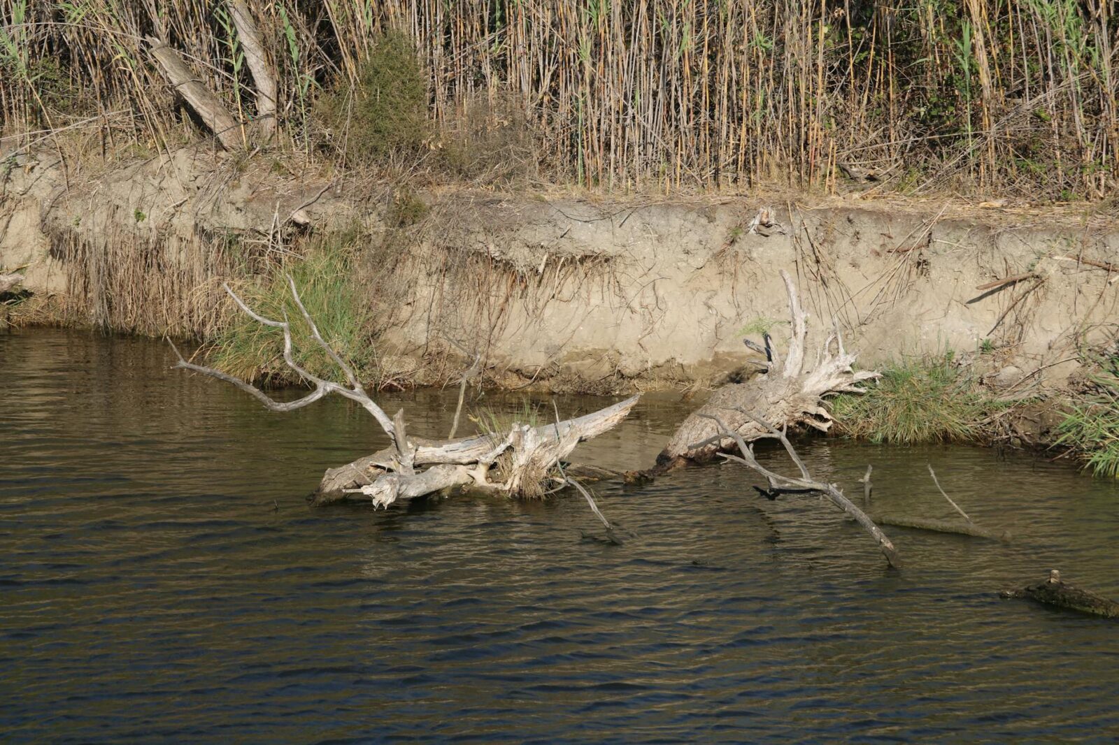 Water pollution probes net £2.1m to improve River Trent catchment - Photo by Olivier Aznavour on Pexels