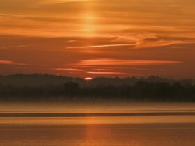 How to Spend a Perfect Day in FiDi, One of NYC's Most Underrated Neighborhoods - Photo by Rino Adamo on Pexels