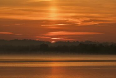 How to Spend a Perfect Day in FiDi, One of NYC's Most Underrated Neighborhoods - Photo by Rino Adamo on Pexels