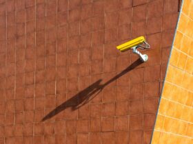 Martyn's Law Factsheet - Photo by Jan van der Wolf on Pexels