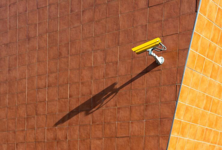 Martyn's Law Factsheet - Photo by Jan van der Wolf on Pexels