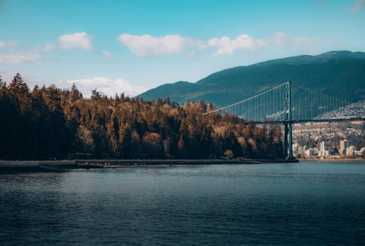 South Korea for First Timers Seoul Busan and Beyond - Photo by Raghav Khera on Pexels