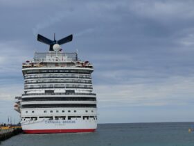 WTTC Report Highlights Cruise Tourism as a Powerful Force for Global Communities - Photo by Hetvi Patel on Pexels