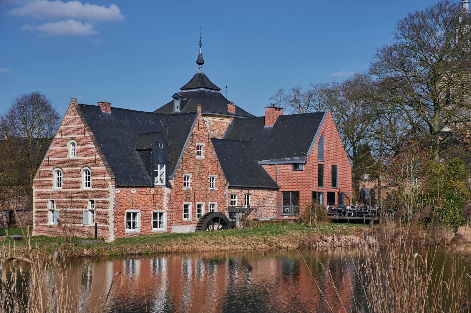 An apology to FP McCann Limited and its directors - Photo by Nils Rotura on Pexels