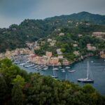 cheap travel insurance - Photo by Rares Cioranu on Pexels