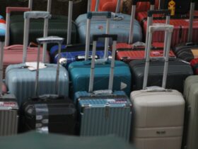 US Airlines Are Raising Bag Fees—Here's How Much It'll Cost You - Photo by Jahra Tasfia Reza on Pexels