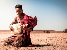 Alaska Airlines returns to the desert as the official airline of Coachella and Stagecoach - Photo by Moaz Tobok on Pexels