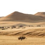 10 Hottest Countries in the World You Might Not Want to Visit - Photo by op23 on Pexels