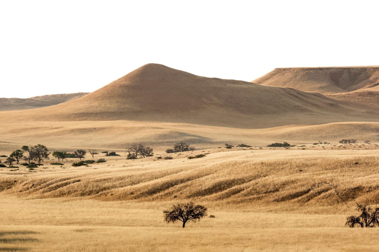 10 Hottest Countries in the World You Might Not Want to Visit - Photo by op23 on Pexels