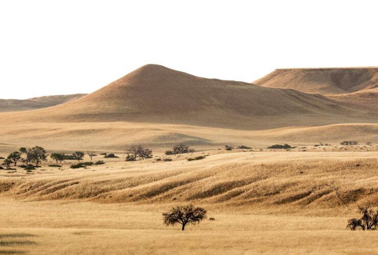 10 Hottest Countries in the World You Might Not Want to Visit - Photo by op23 on Pexels