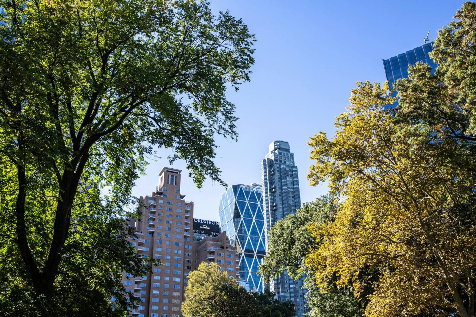 11 New York City Hotels With Views of Central Park - Photo by Louis on Pexels