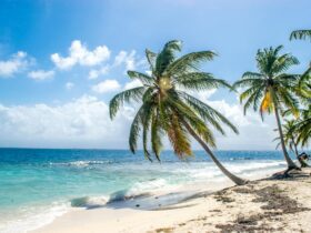 Maldives on a Budget Is It Actually Possible - Photo by Enrique on Pexels