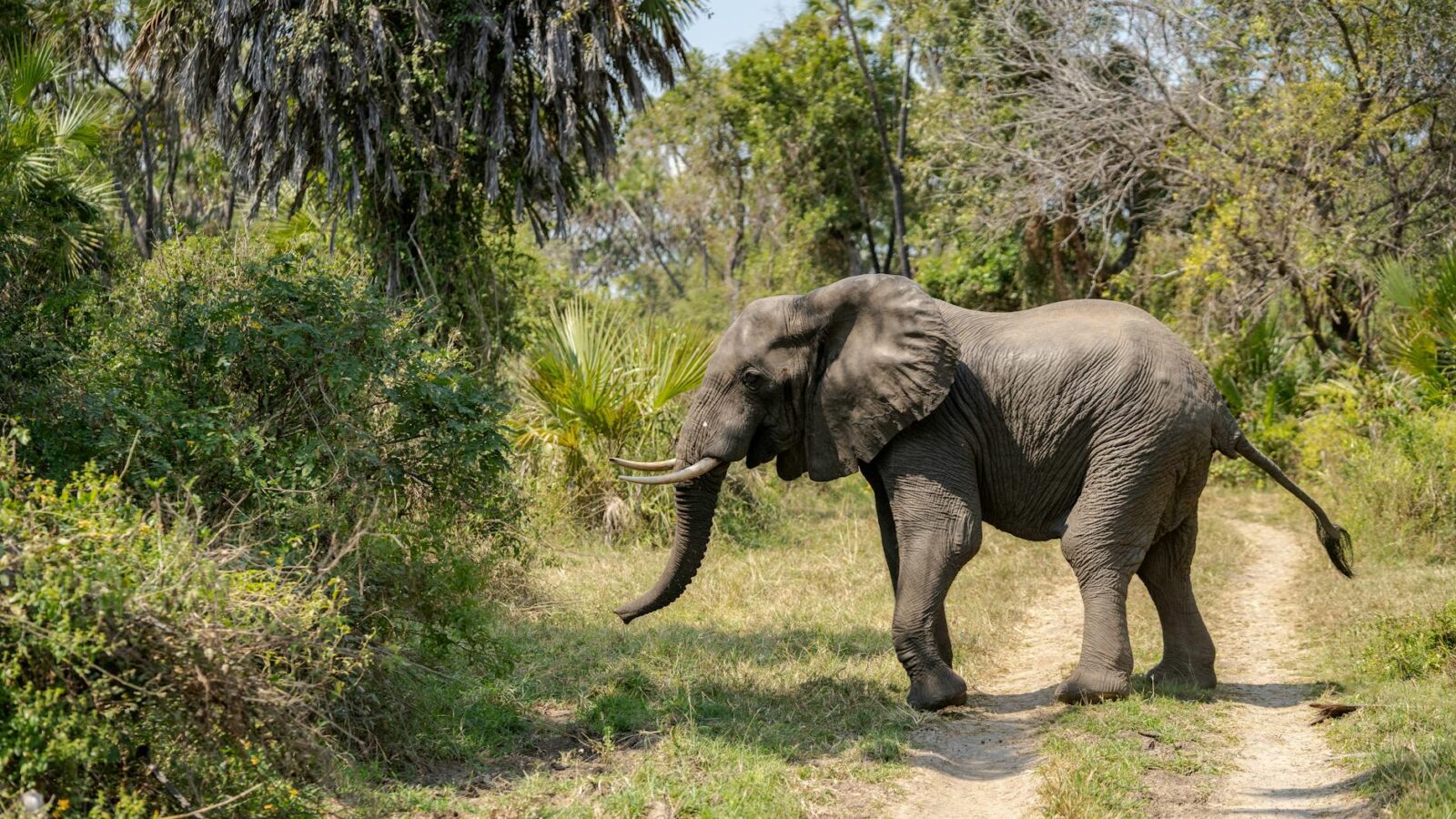 10 Islands That Are Sinking and Might Disappear in Your Lifetime - Photo by Tomasz Dworczyk - Podróż za Milion Zdjęć on Pexels