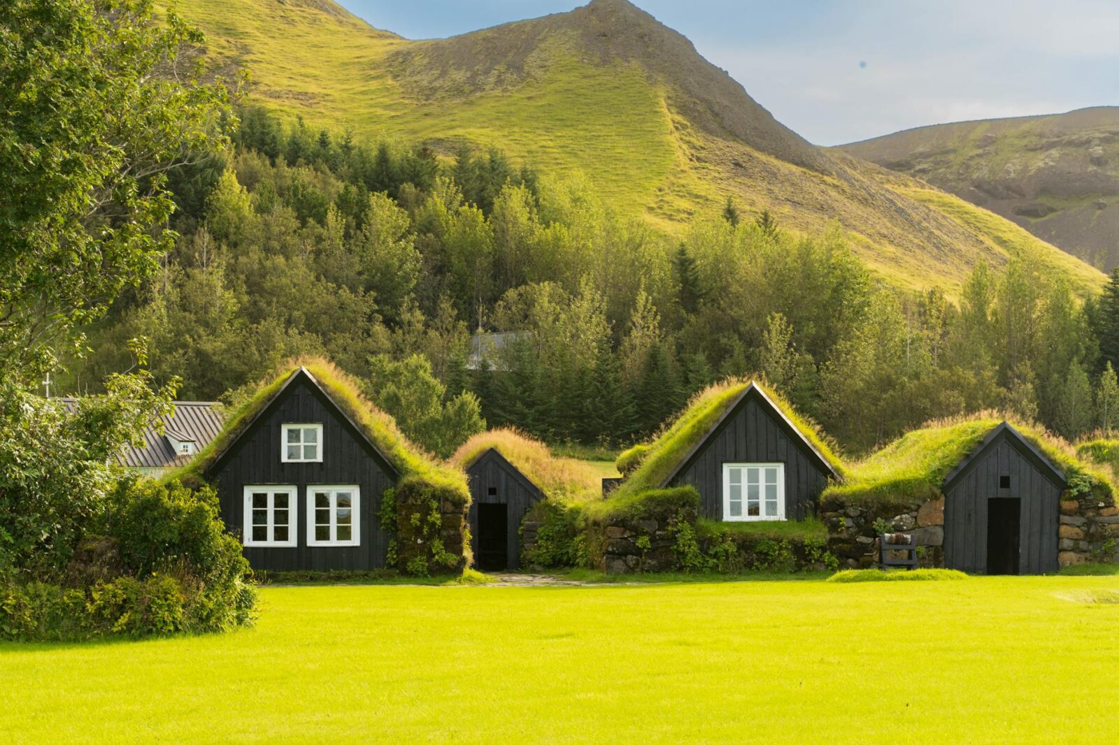 Dame Helen Ghosh named as preferred Chair for the Office for Environmental Protection - Photo by Kristen Nagy on Pexels