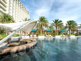 10 Hyatt hotels to book with points now — before major award chart changes this May - Photo by Quang Nguyen Vinh on Pexels