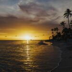 30 Beach Wedding Guest Dresses for Oceanside ‘I Do's’ - Photo by Matheus Bertelli on Pexels