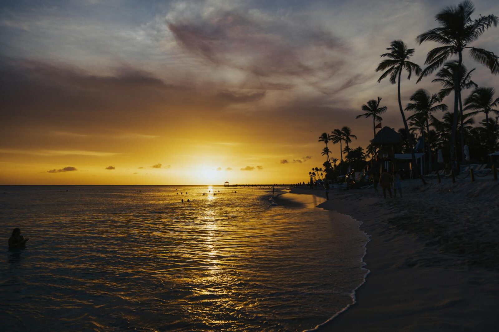 30 Beach Wedding Guest Dresses for Oceanside ‘I Do's’ - Photo by Matheus Bertelli on Pexels