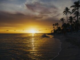 30 Beach Wedding Guest Dresses for Oceanside ‘I Do's’ - Photo by Matheus Bertelli on Pexels