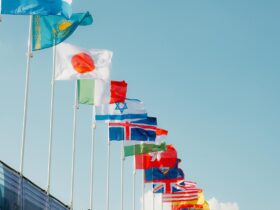 The UK supports EU-UN coordination in maintaining international peace and security: UK statement at the UN Security Council - Photo by Mathias Reding on Pexels