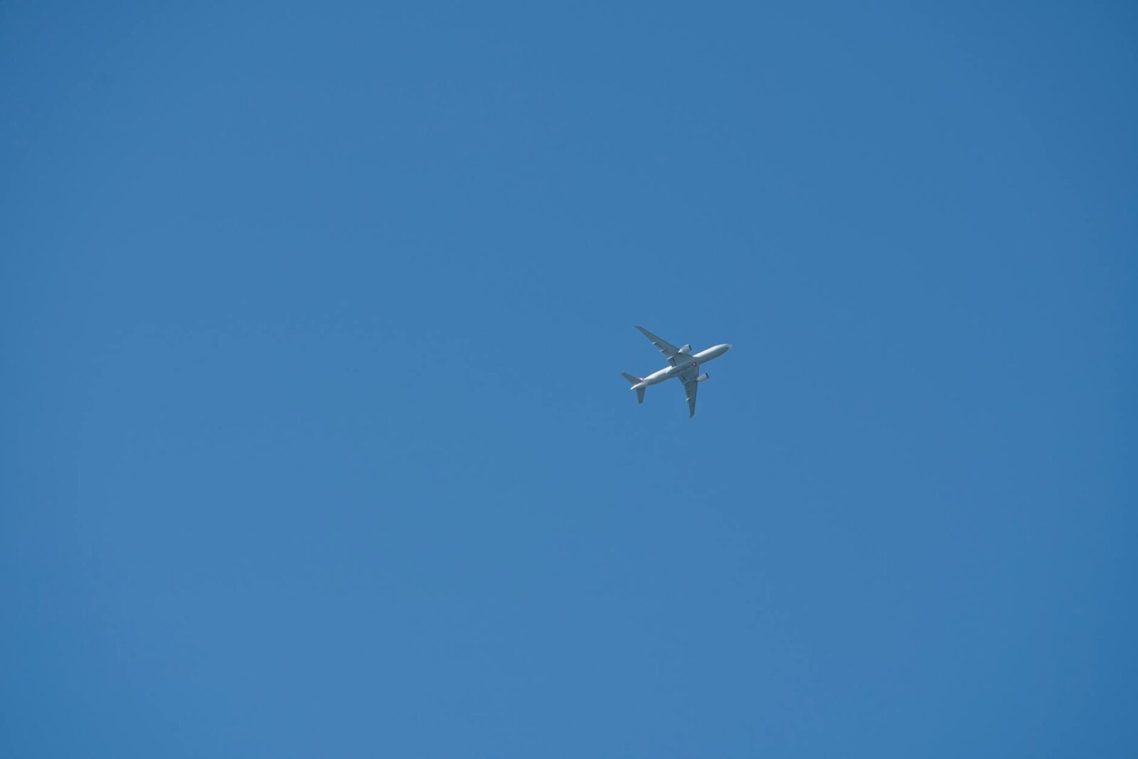 google cheap flights - Photo by Sergio Zhukov on Pexels