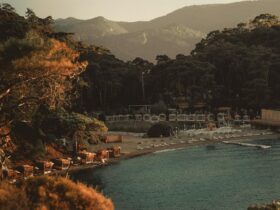 travel advisory mexico - Photo by UMUT 🆁🅰🆆 on Pexels